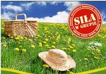 Szkolenie z zakresu marketingu, obsługi klientów i savoir vivre