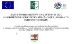 Instrumenty dofinansowane