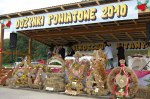 Występ zespołów Jantar na Dożynkach Powiatowych