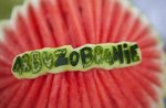 PIKNIK RODZINNY W SIANOŻĘTACH "Arbuzobranie"