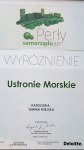 Perły Samorządu 2017