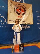 Kyokushin Challenge 2017