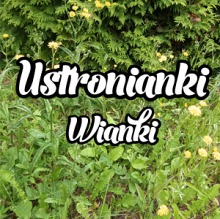 Ustronianki - Wianki