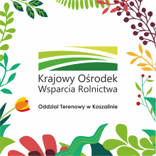 Piknik Kół Gospodyń Wiejskich