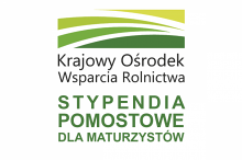 XIX edycja Programu Stypendiów Pomostowych