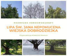 Wsparcie dla Powiatu Mieleckiego
