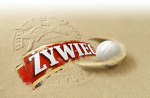 Program imprez w Przystani Żywiec 2008