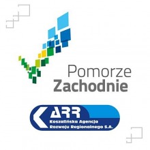 Wyniki Programu Społecznik 2022