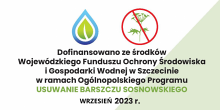 Usuwamy trujący Barszcz Sosnowskiego