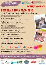 Wkrótce Lawendowy Zawrót Głowy
