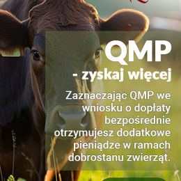 Bezpłatne webinary dla rolników hodujących bydło!