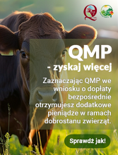 Bezpłatne webinary dla rolników hodujących bydło!