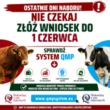 Ostatnie dni na złożenie wniosku do QMP